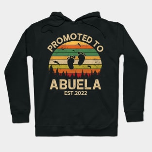 Promoted To Abuela Est 2022 Pregnancy Announcement Vintage Hoodie